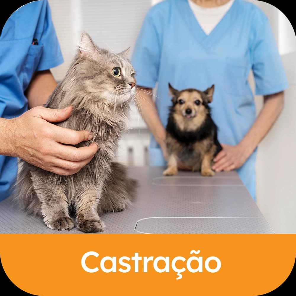 Castração